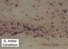 KTA - • Condición G1 Recubrimiento envejecido con extenso óxido puntual;